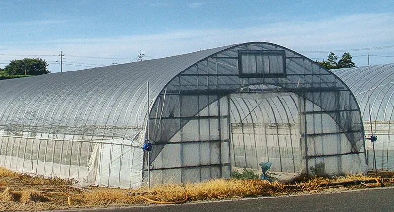 Covering a pipe house (with rope)