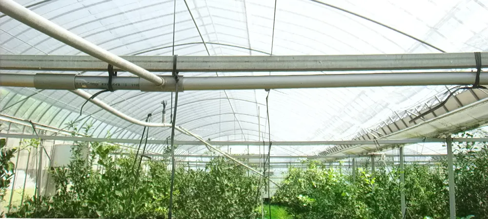 2021セール ふあふあエース 家庭菜園用遮熱ネット 2M×4M 遮光率 約50％ ダイヤテックス