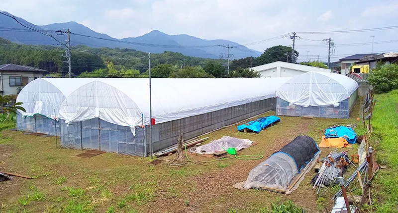 Covering a pipe house (with spring wire)